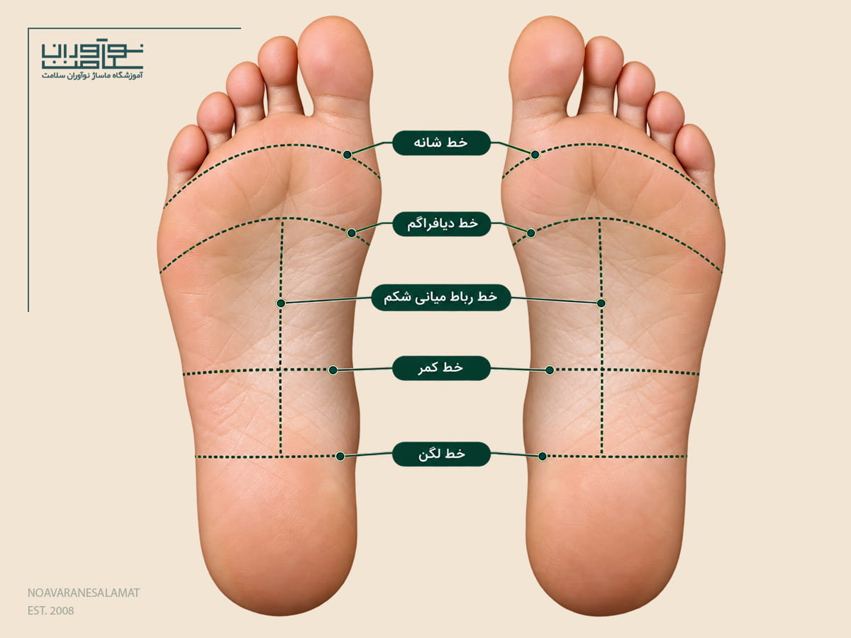 خطوط عرضی کف پا در ماساژ رفلکسولوژی