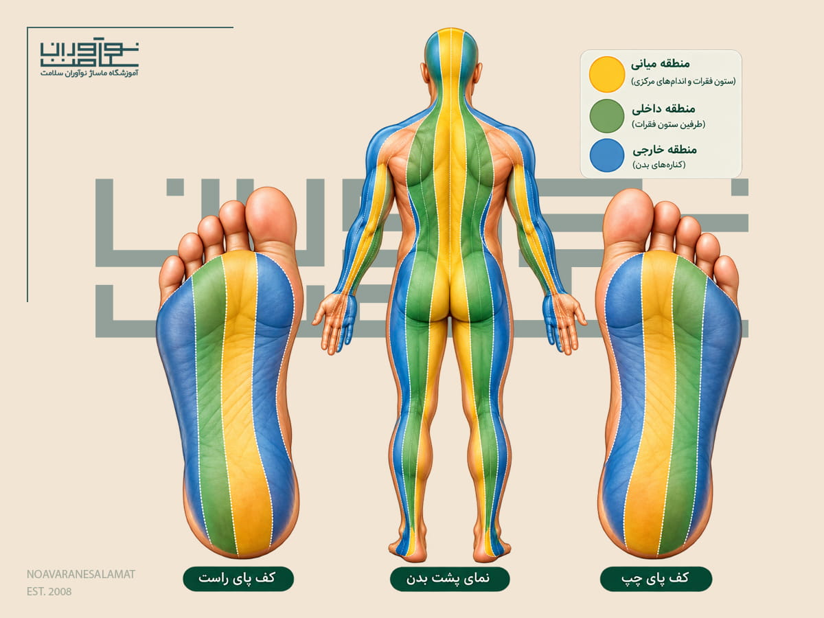 خطوط طولی کف پا و بدن در ماساژ رفلکسولوژی